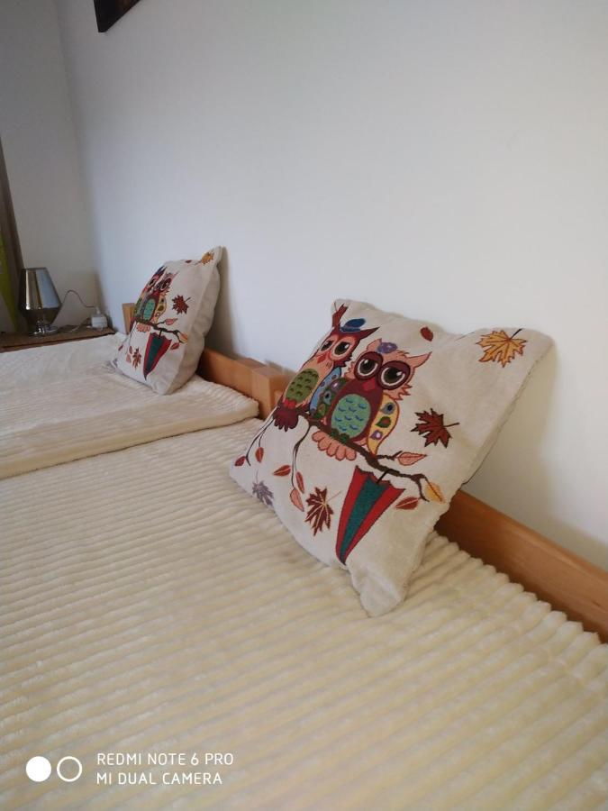 Seosko Turisticko Domacinstvo Milka Apartment Cacak Ngoại thất bức ảnh